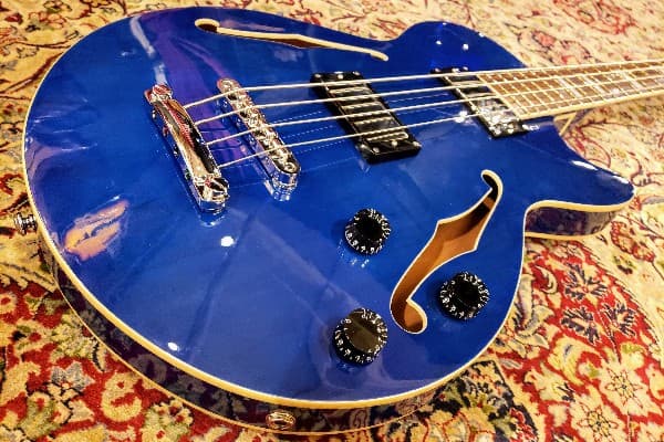 d'angelico bass